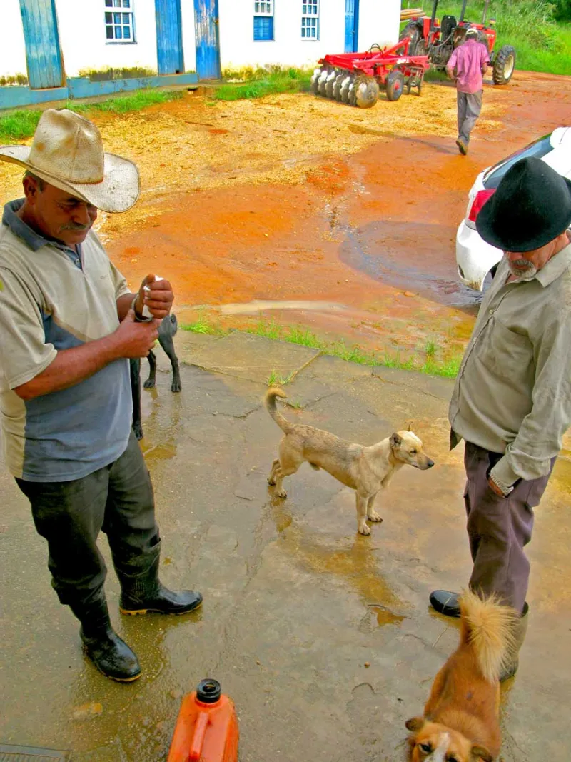 Clima como Aliado: Ferramentas de Previsão Meteorológica que Blindam a Rentabilidade do Produtor Rural Brasileiro
