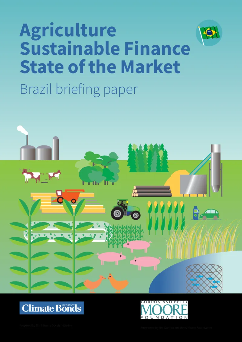 Financiamento Verde: Como Taxas Reduzidas e Incentivos Sustentáveis Estão Permitindo que Produtores Rurais Brasileiros Cresçam sem Comprometer o Caixa